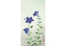 Chinese bellflower by Keika Kanashima