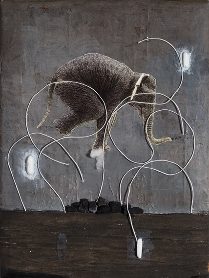 Elefante sui Carboni by Pietro de Pace, 2011