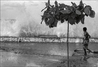 La Vague - Xavier Le Roy