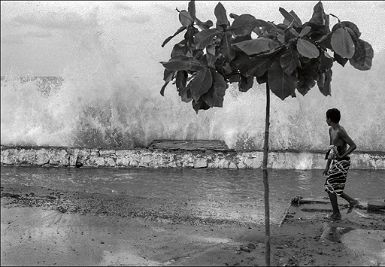 La Vague by Xavier Le Roy, 2009