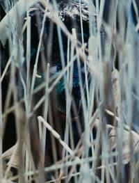 Photography: Technology + Art - Mishkin Gallery, Baruch College