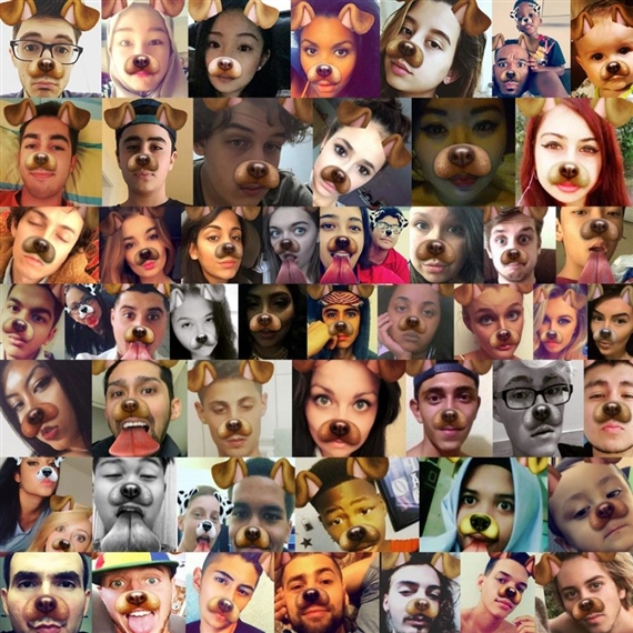 Social Matter - Blue Oyster