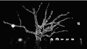 Amrish Vaidya: In the space between - Sakshi Gallery