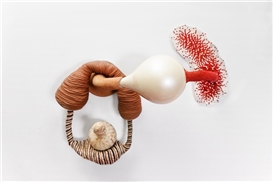 10 Exhibitions Opening This Week