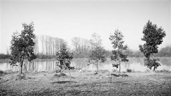 What's on in Canberra's art scene from November 4