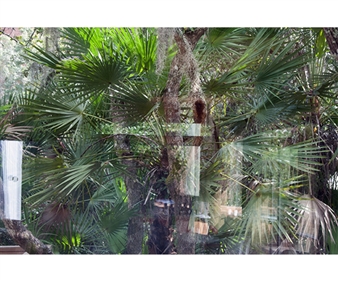 Open Sessions 9: Cartography of Ghosts - The Drawing Center