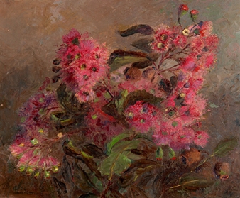 Red Flowering Gum - Annette Gates