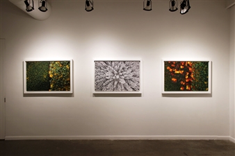 Kacper Kowalski: Fade to White - The Curator Gallery