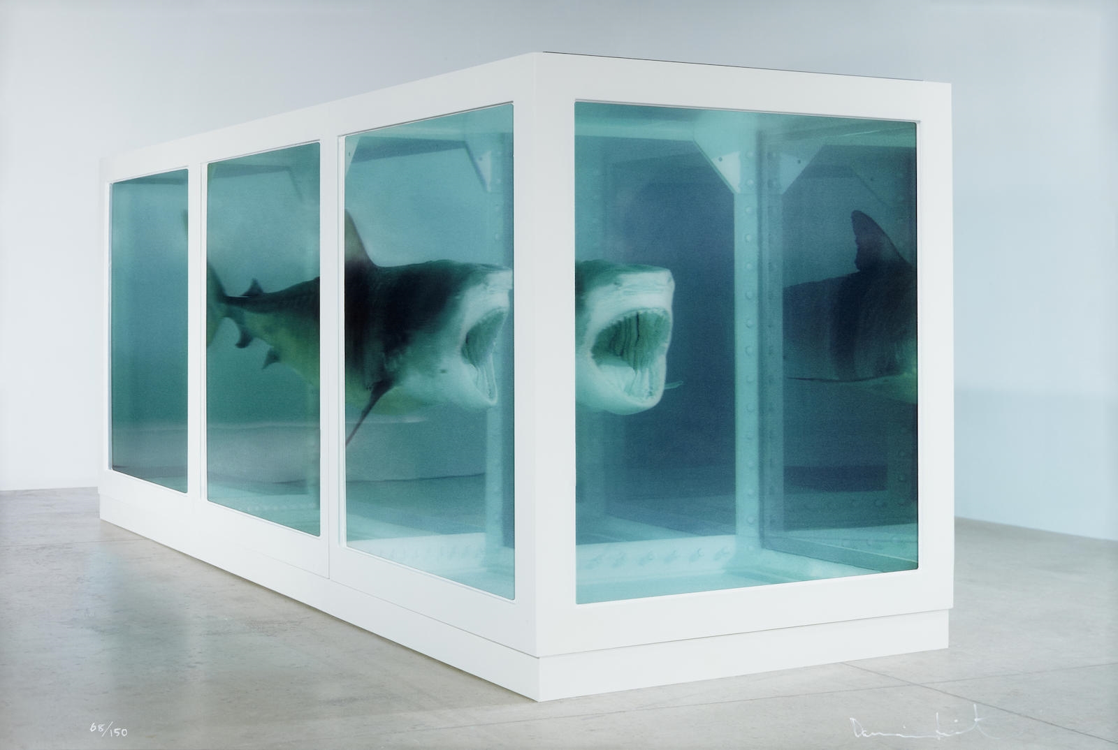 Damien Hirst The Physical Impossibility of Death in the Mind