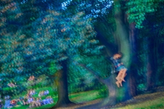 Melisa Teo: Eden - Chan + Hori Contemporary