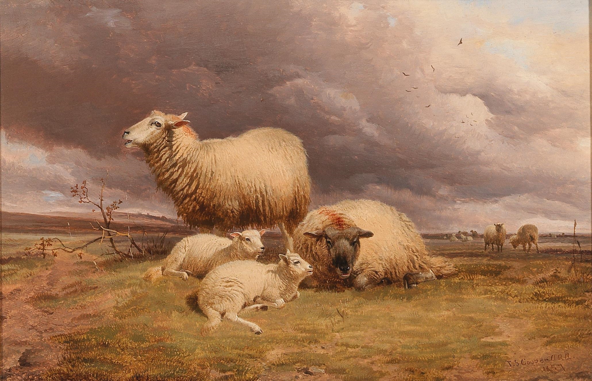 Thomas Sidney Cooper Sheep in the Pasture (1857) MutualArt