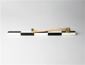 Broomberg & Chanarin: Trace Evidence - Lisson Gallery, Milan