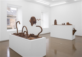 Jesse Wine - Mary Mary Gallery