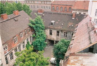 Klaus Biesenbach Recalls the Founding of KW in Berlin 25 Years ago, a Moment of ‘Radical Change and Freedom’