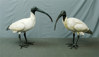 2 Works: Ibis I & Ibis II - Stu James