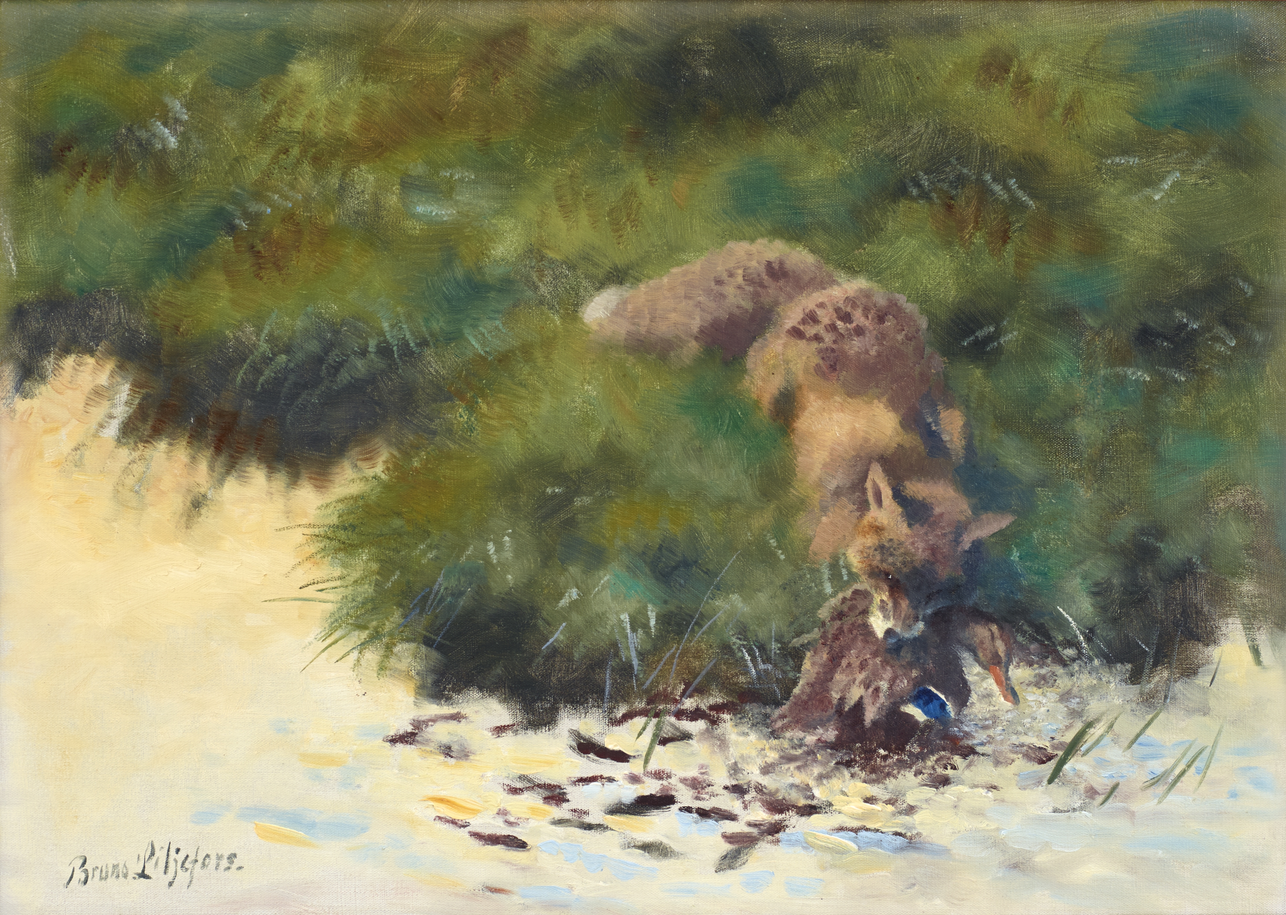 Artwork by Bruno Liljefors, Räv med byte, Made of Oil on canvas