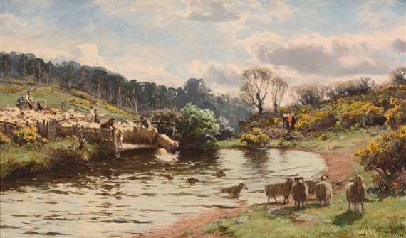 Sheep plunging by David Farquharson