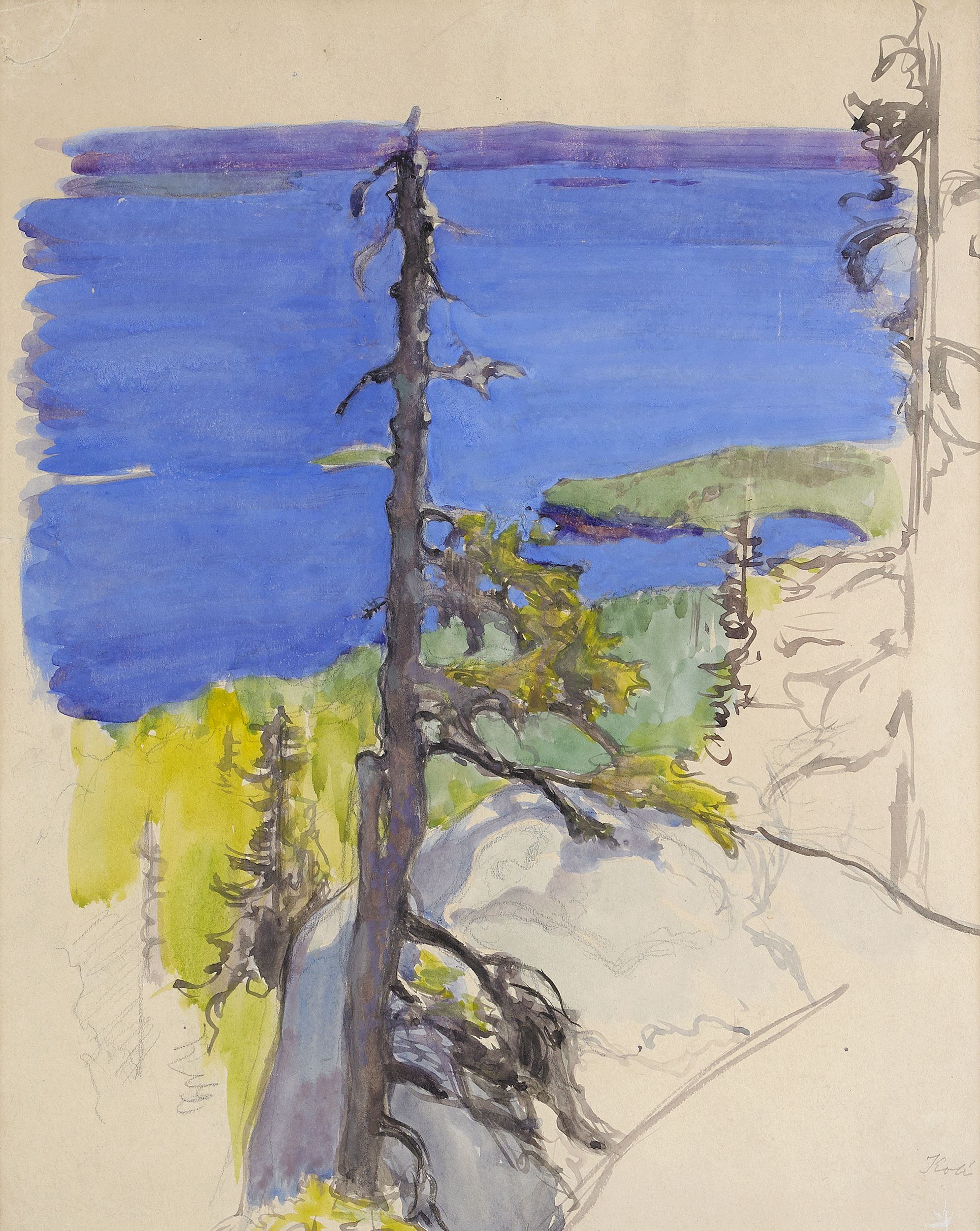 eero-j-rnefelt-view-from-koli-mutualart