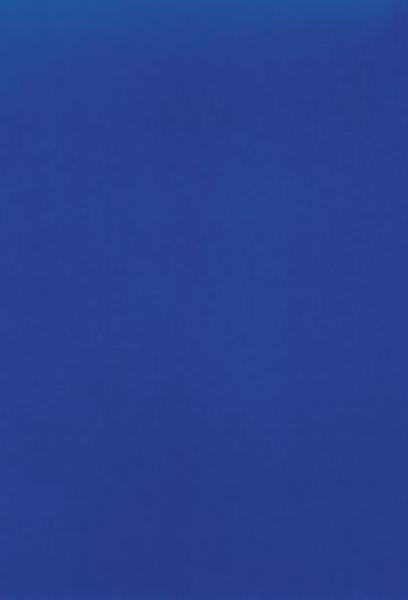 Yves Klein | MONOCHROME BLEU IKB (1956) | MutualArt