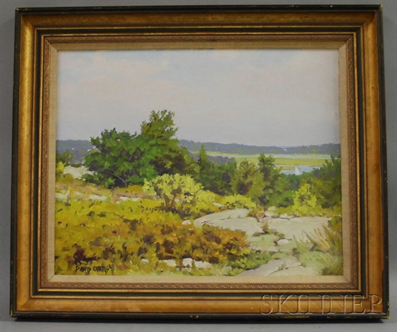 Spring Landscape with Distant Water View by David Curtis