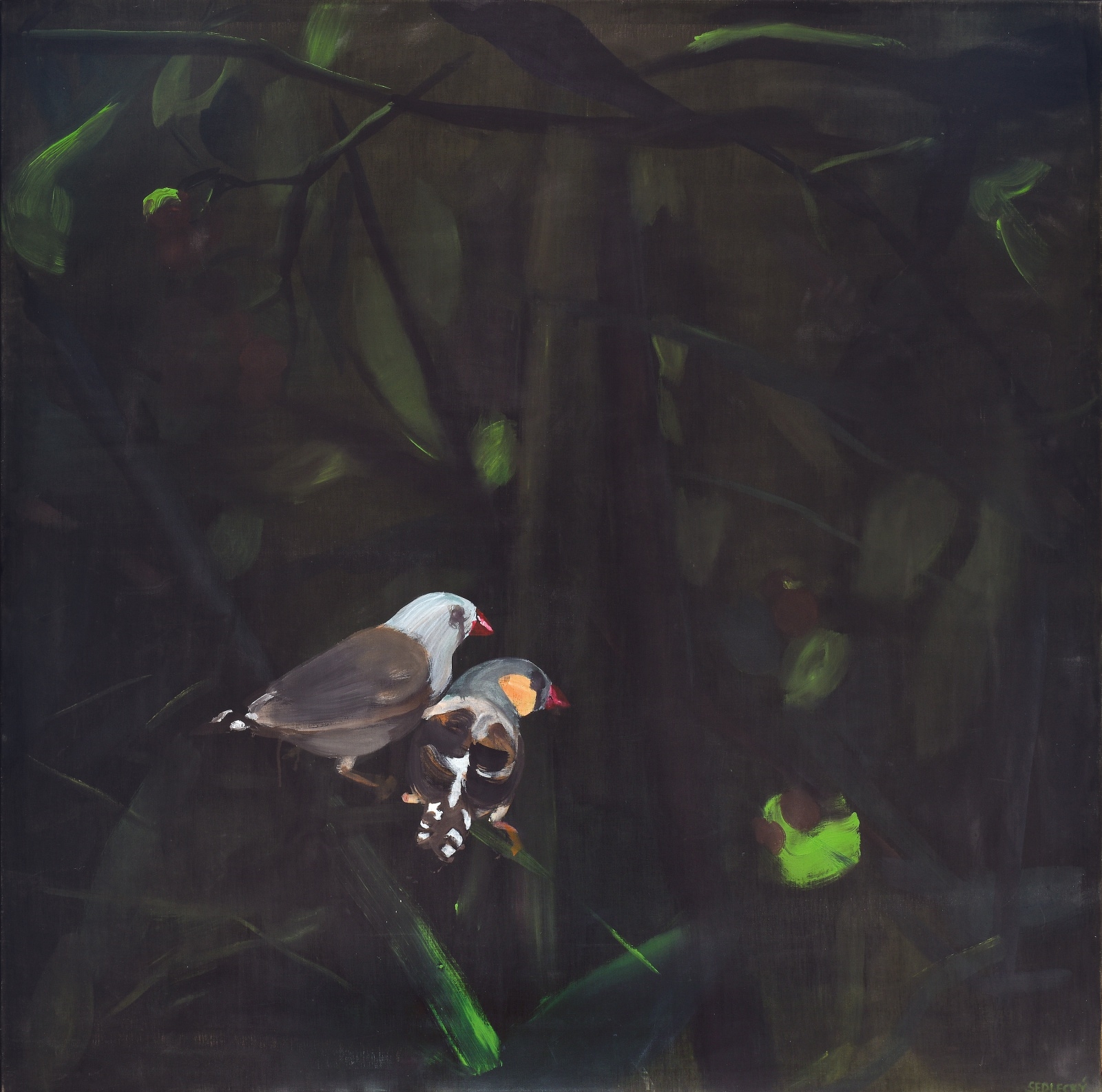 Artwork by Zbynek Sedlecky, Ptáci, Made of acrylic on canvas