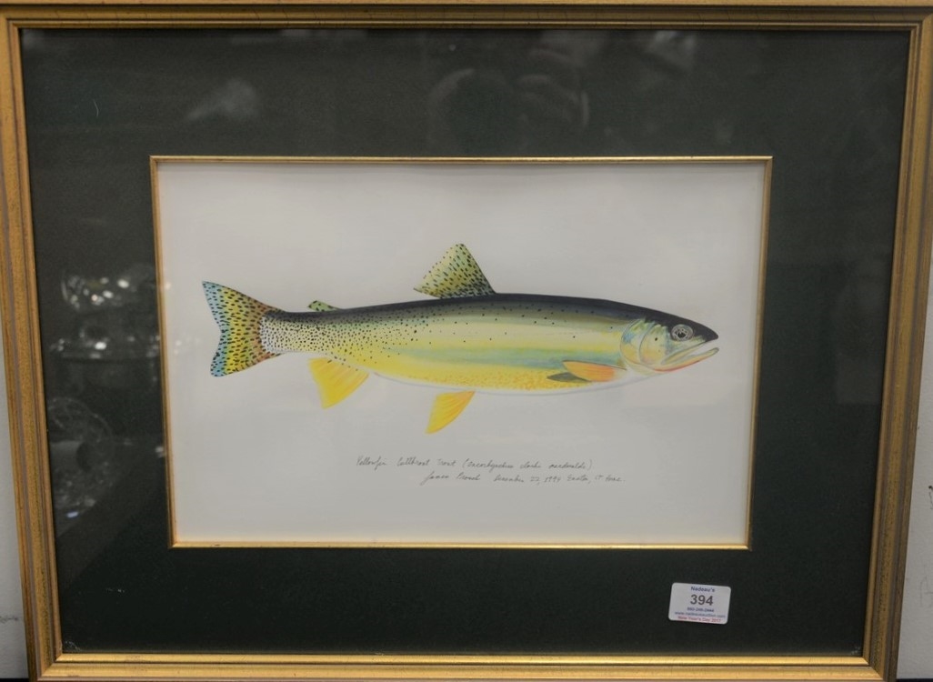 James Prosek Humper Lake Trout MutualArt