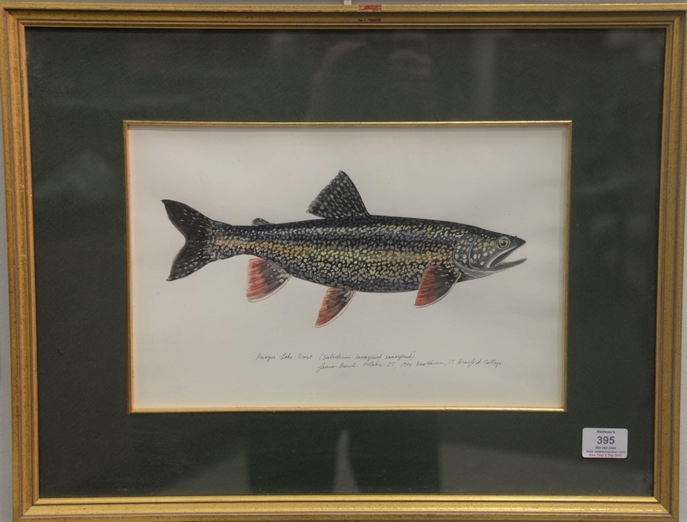 James Prosek Cutthroat Trout (oncorhynchus clarki mac donaldi