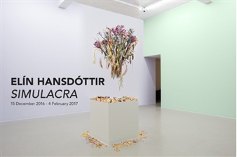 Elín Hansdóttir: SIMULACRA - i8 Gallery