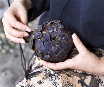 Hans-Henning Korb: Kaya Cynara - Empty Gallery