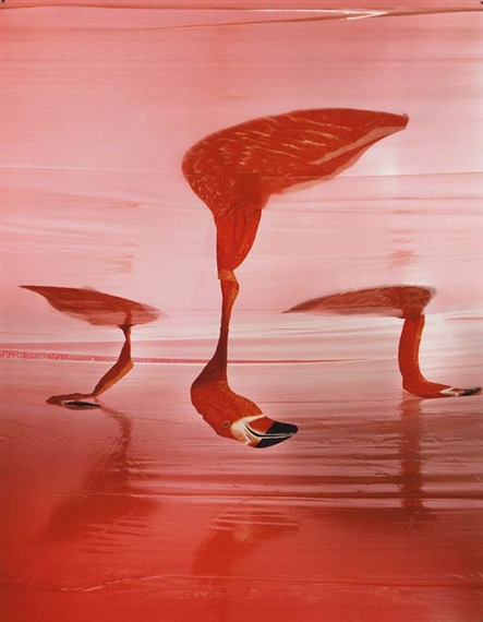 Gorge by Boyd Webb, 1989