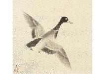 Duck by Seison Maeda