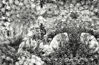 Alexandre Joly - Galerie Römerapotheke