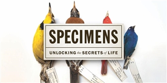 Specimens: Unlocking the Secrets of Life - The Field Museum