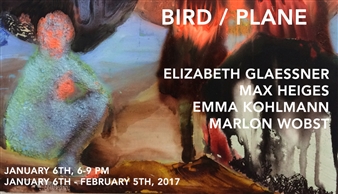 Bird / Plane - New Release