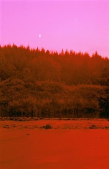 Eion Moylan: Down in The Valley - Galleri Image