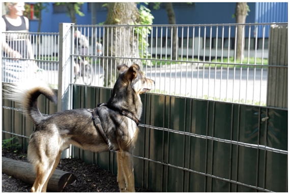 Ovidiu Anton and Alexandru Bălăşescu: Smells like paradise  - Christine König Galerie