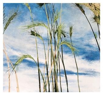 Cressida Campbell & Tim Storrier: Difficult Pleasures - CFA, Contemporary Fine Arts (Mitte)
