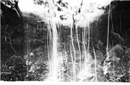 Reduction of Image - Gallery Yang