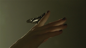 Extract VI: Young Art Prize - CPH 2017 - Gammel Strand