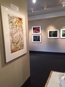 Ryuijie and Yoshimitsu Nagasaka  - Weston Gallery