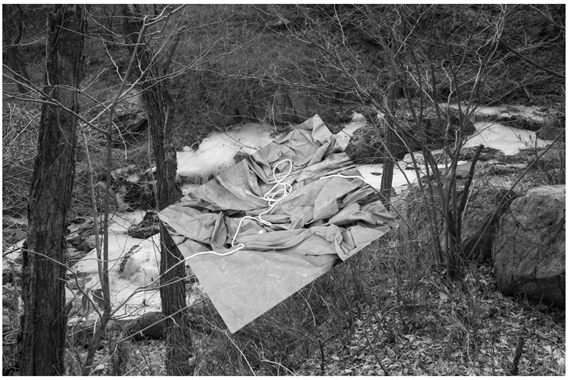 Esho Funi - Gallery 16