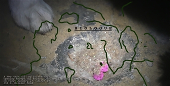 Trisha Baga: BIOLOGUE - 356 Mission