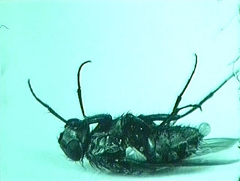 Film Implosion! Experiments in Swiss Film - Museum für Gestaltung Zürich, Ausstellungsstrasse