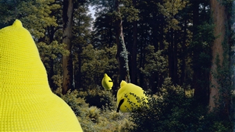 Klodin Erb: The Sweet Lemon Ballad - Rotwand