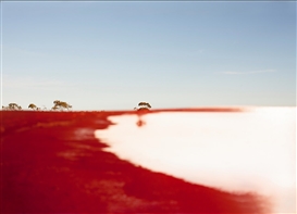 Max Dupain's Sunbaker: Australian artists respond to celebrated photograph – in pictures