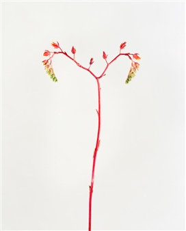 Group Exhibition - Stills Gallery
