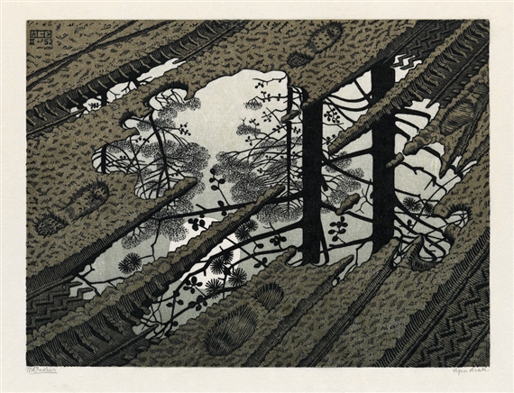 Puddle by Maurits Cornelis Escher, 1952