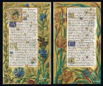 A PAGE FROM A BOOK OF HOURS, THE MARGINS DECORATED WITH CORNFLOWERS (RECTO AND VERSO) - Master of Claude de France