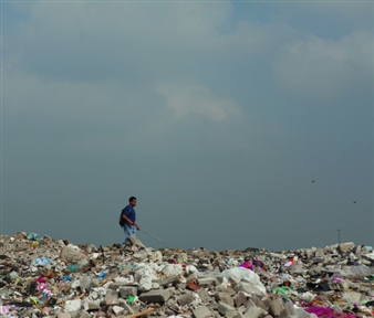 Camel Collective - MUAC, Museo Universitario de Arte Contemporaneo