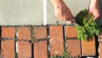 Intimately Unfamiliar: New Work by SUNY New Paltz Art Faculty - Samuel Dorsky Museum of Art